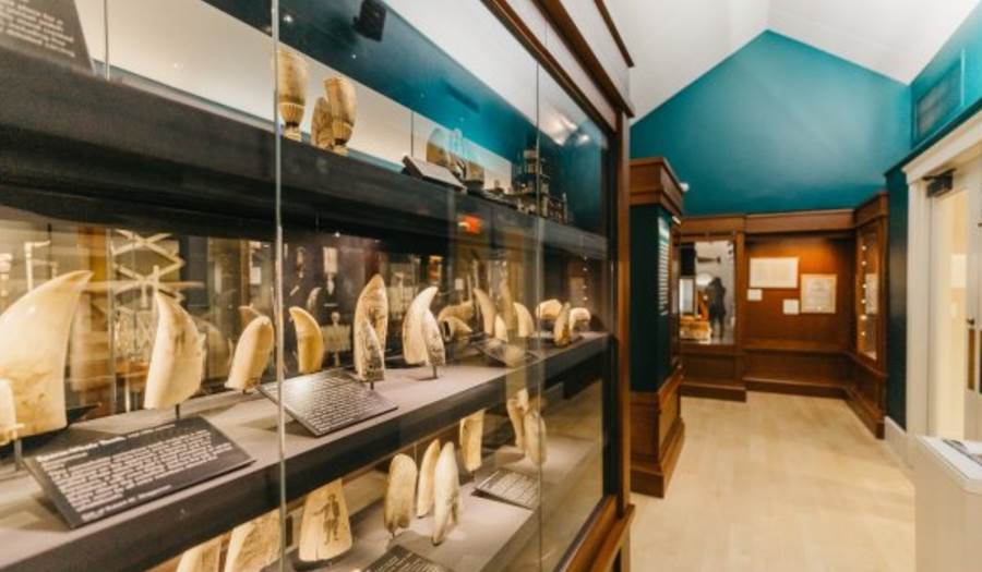 Display case at the Nantucket Whaling Museum