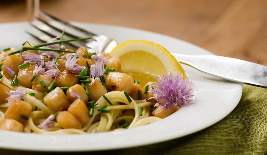 Scallops and linguine with a lemon wedge on a dinner plate